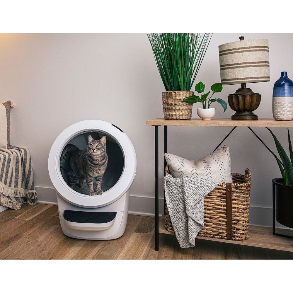 Litter Robot 4